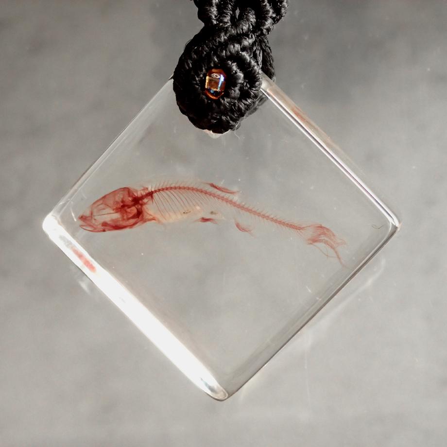魚類単色染色樹脂封入標本キーホルダー | 2枚目