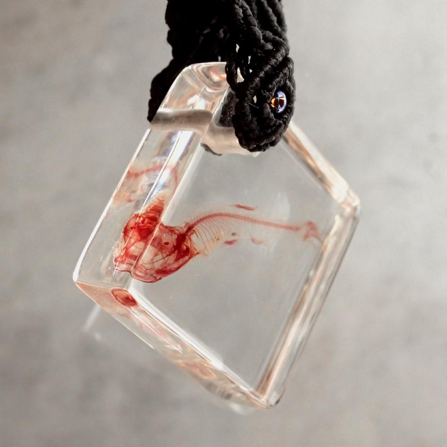 魚類単色染色樹脂封入標本キーホルダー | 3枚目