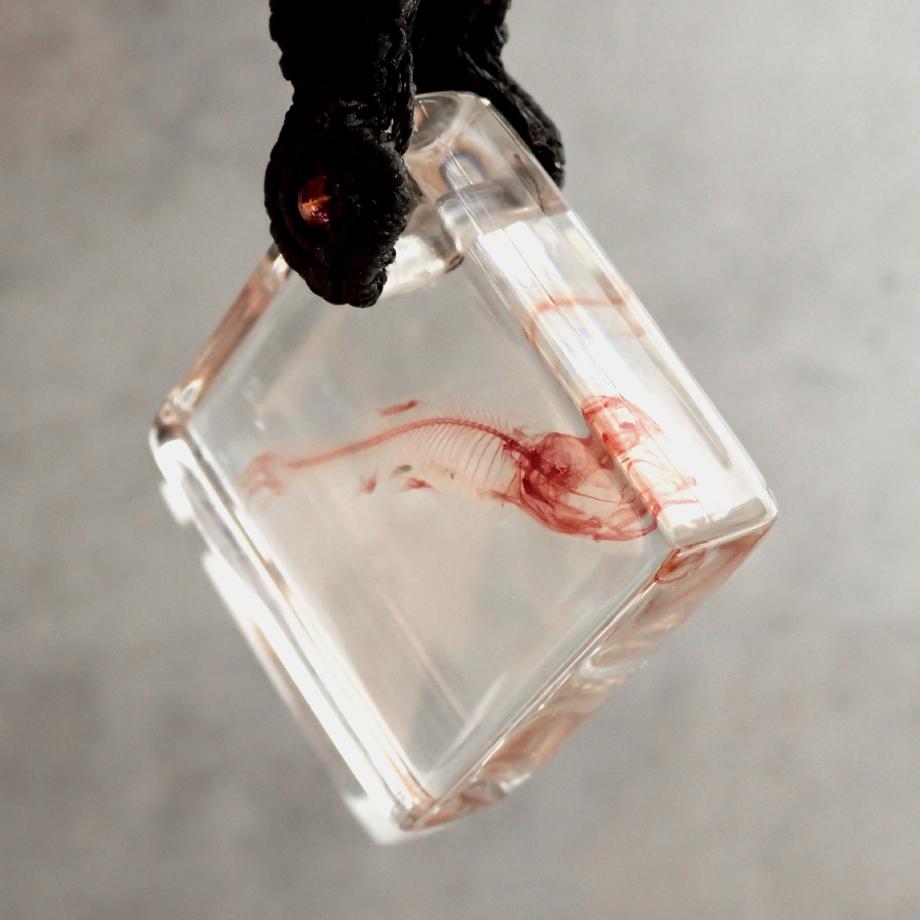 魚類単色染色樹脂封入標本キーホルダー | 4枚目