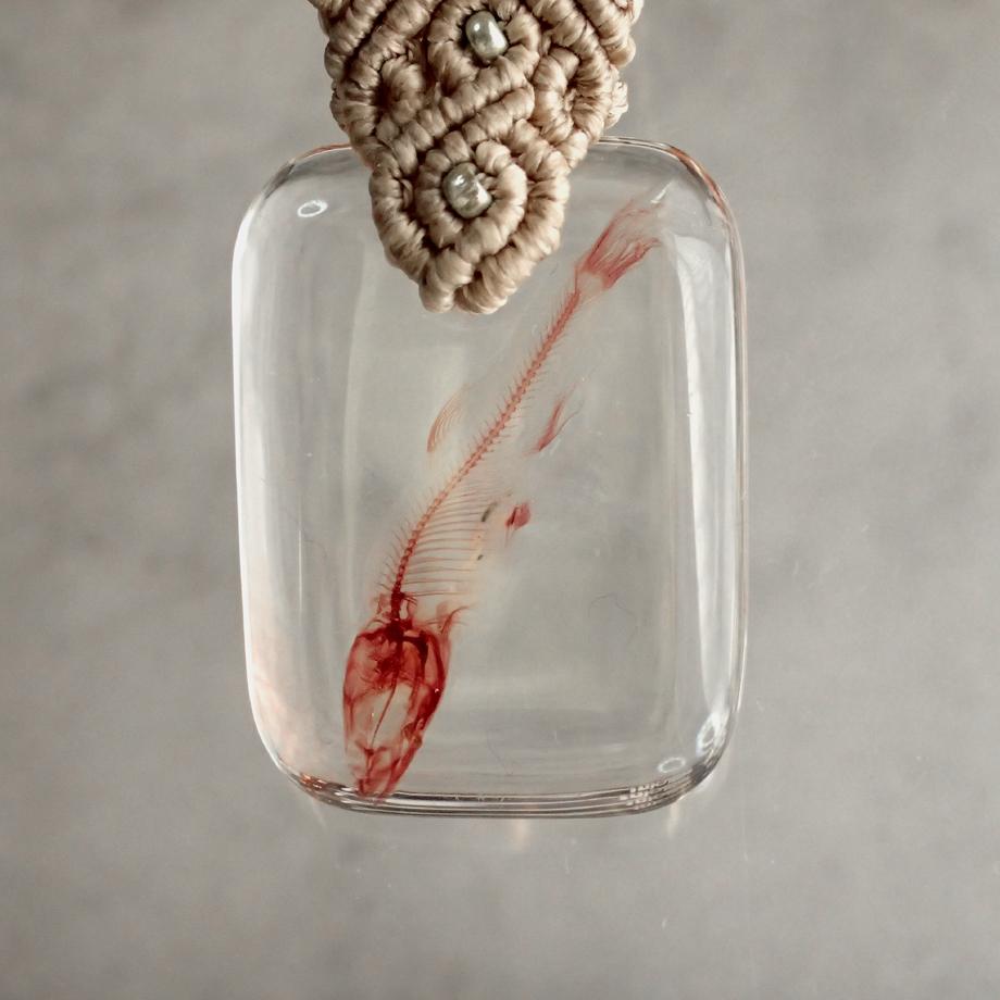 魚類単色染色樹脂封入標本キーホルダー | 10枚目