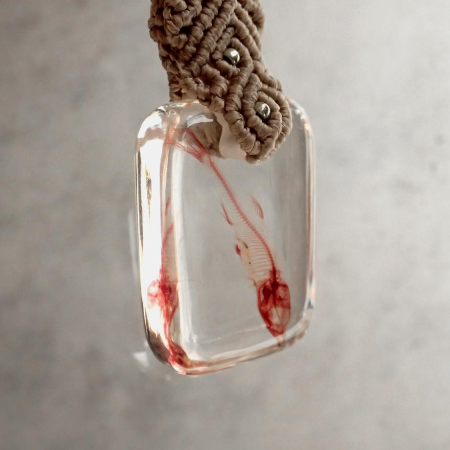 魚類単色染色樹脂封入標本キーホルダー | 11枚目