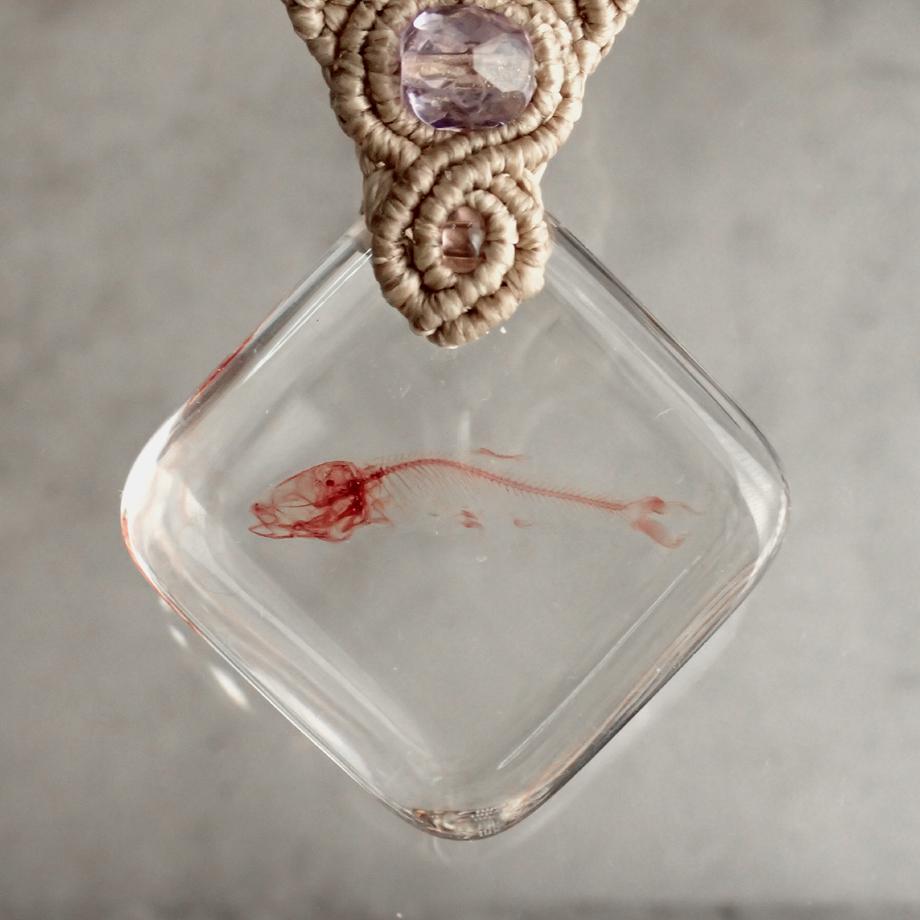 魚類単色染色樹脂封入標本キーホルダー | 6枚目