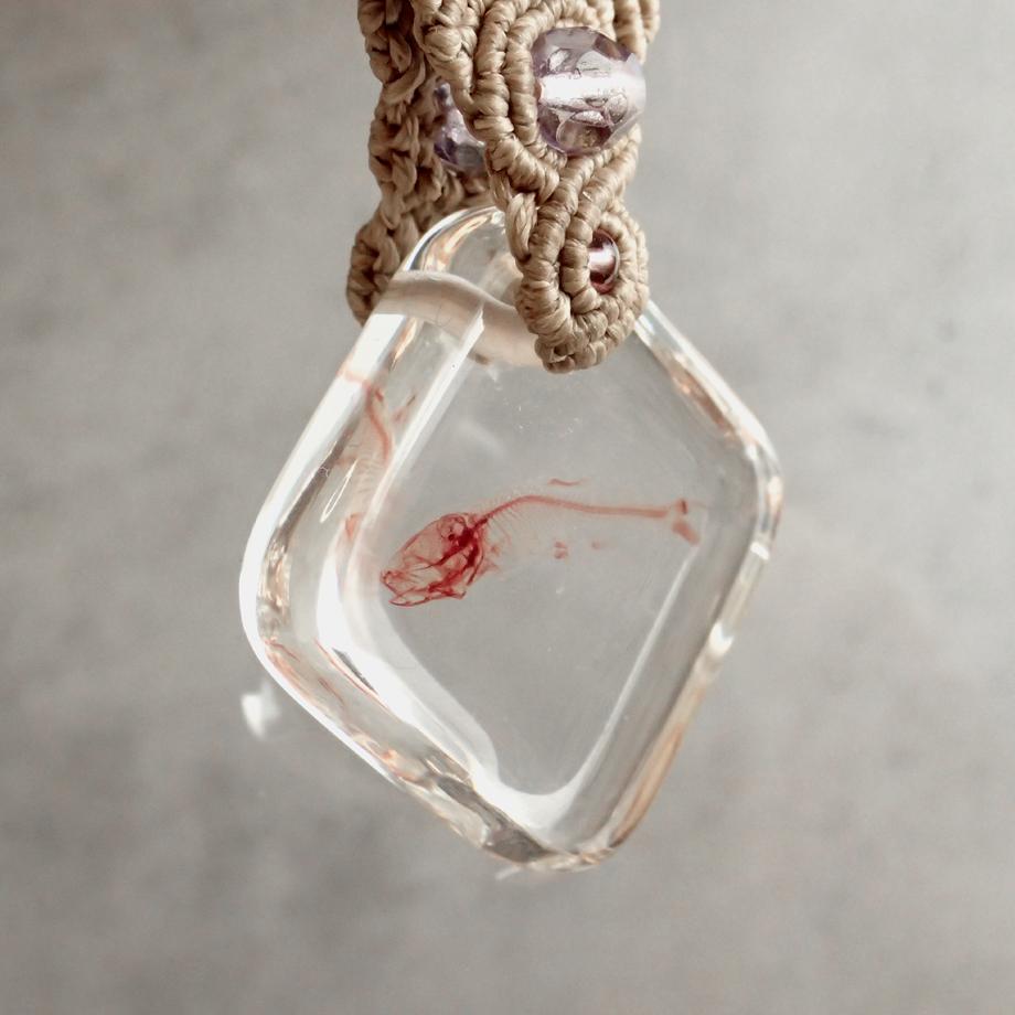 魚類単色染色樹脂封入標本キーホルダー | 7枚目