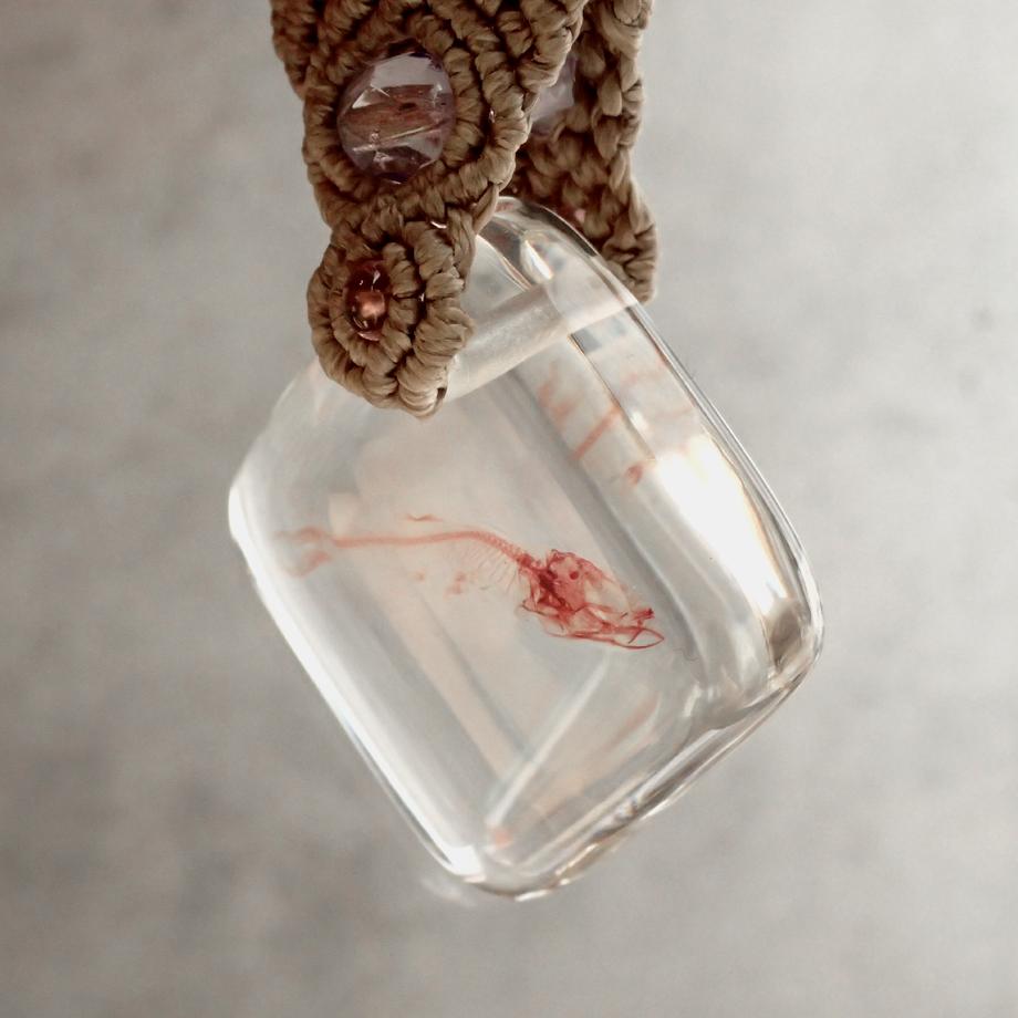 魚類単色染色樹脂封入標本キーホルダー | 8枚目