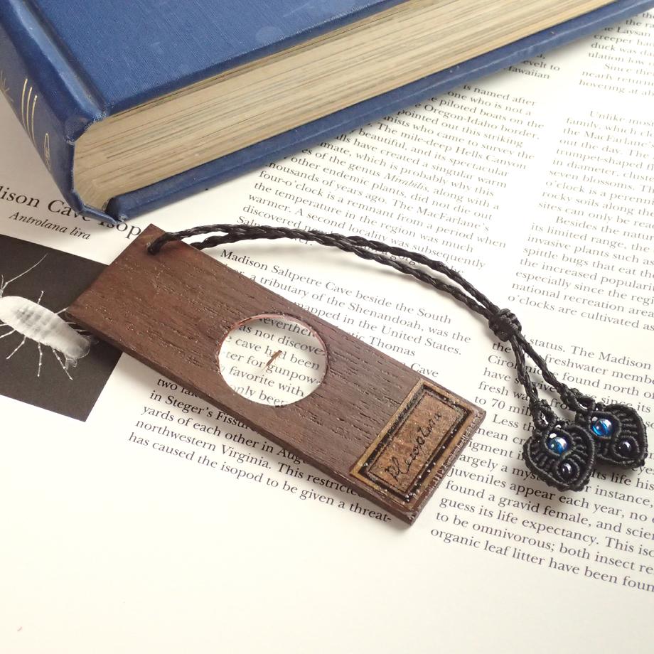 カワゲラ類樹脂封入標本プレパラート | 5枚目