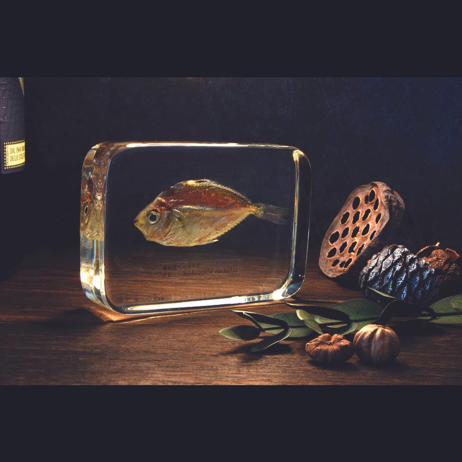 ヒイラギ樹脂封入標本 2L (木製標本箱入り) | 18枚目