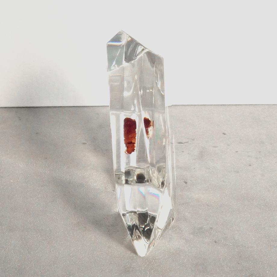 トビケラ類樹脂封入標本 C (木製標本箱入り) | 6枚目