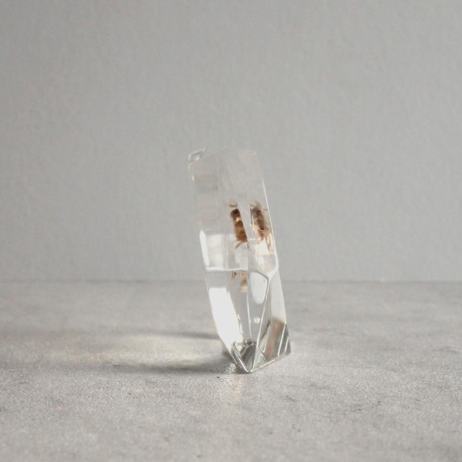 カニ類樹脂封入標本 C (木製標本箱入り) | 7枚目