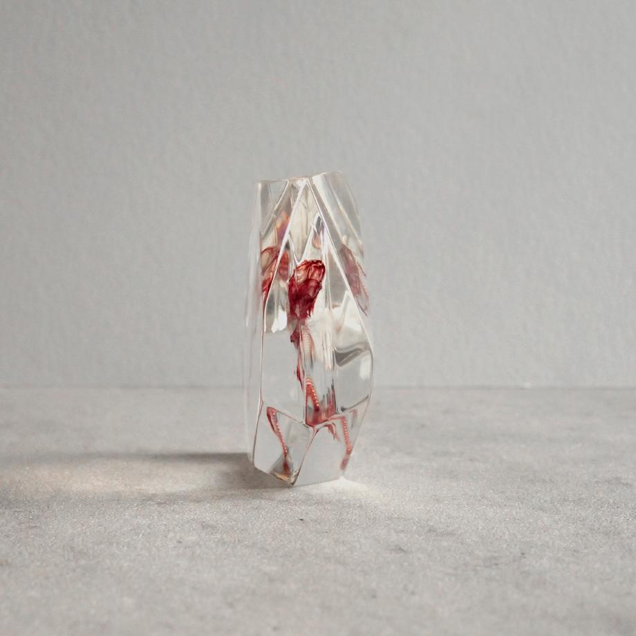 魚類単色染色樹脂封入標本 C (木製標本箱入り) | 3枚目