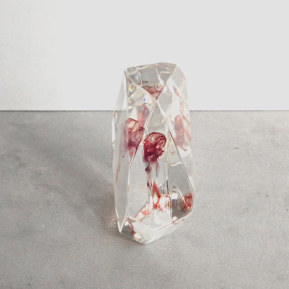 魚類単色染色樹脂封入標本 C (木製標本箱入り) | 6枚目