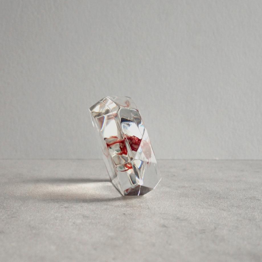 魚類単色染色樹脂封入標本 C (木製標本箱入り) | 3枚目