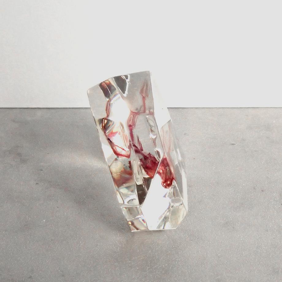 魚類単色染色樹脂封入標本 C (木製標本箱入り) | 6枚目