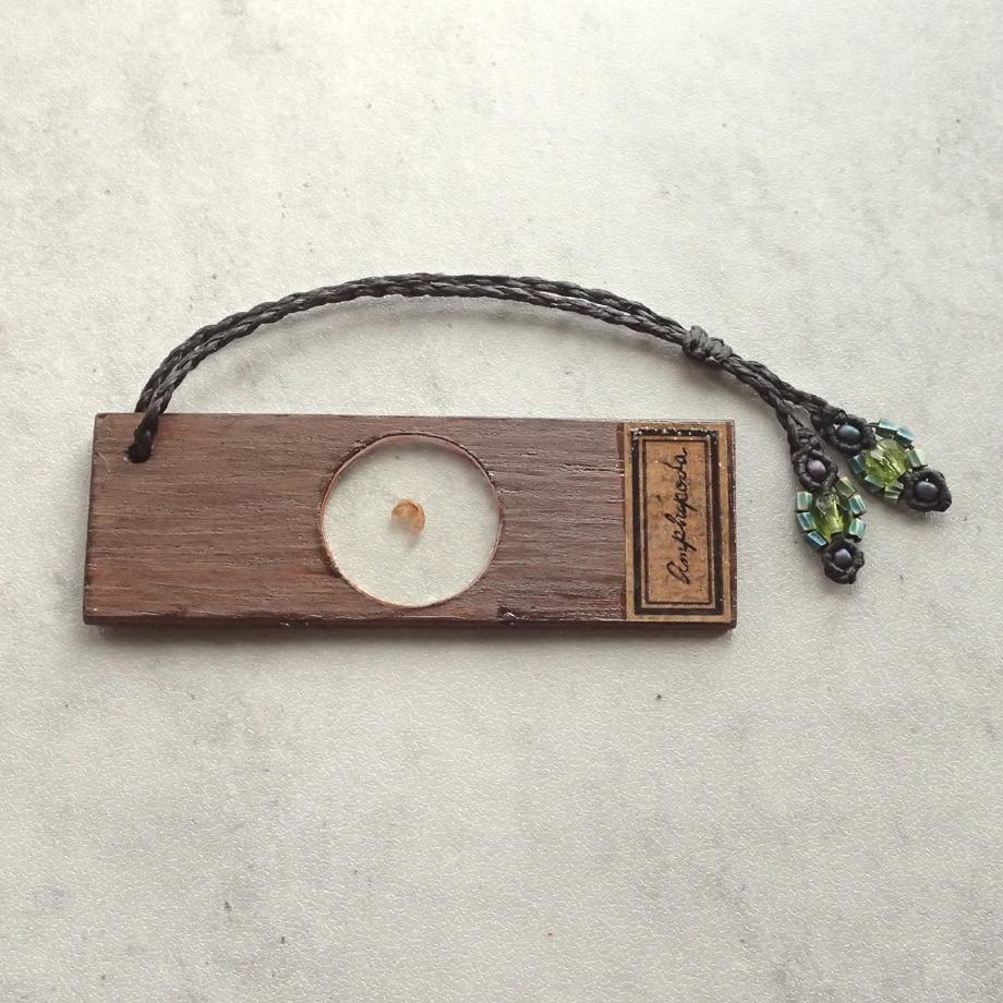 ヨコエビ類樹脂封入標本プレパラート | 2枚目