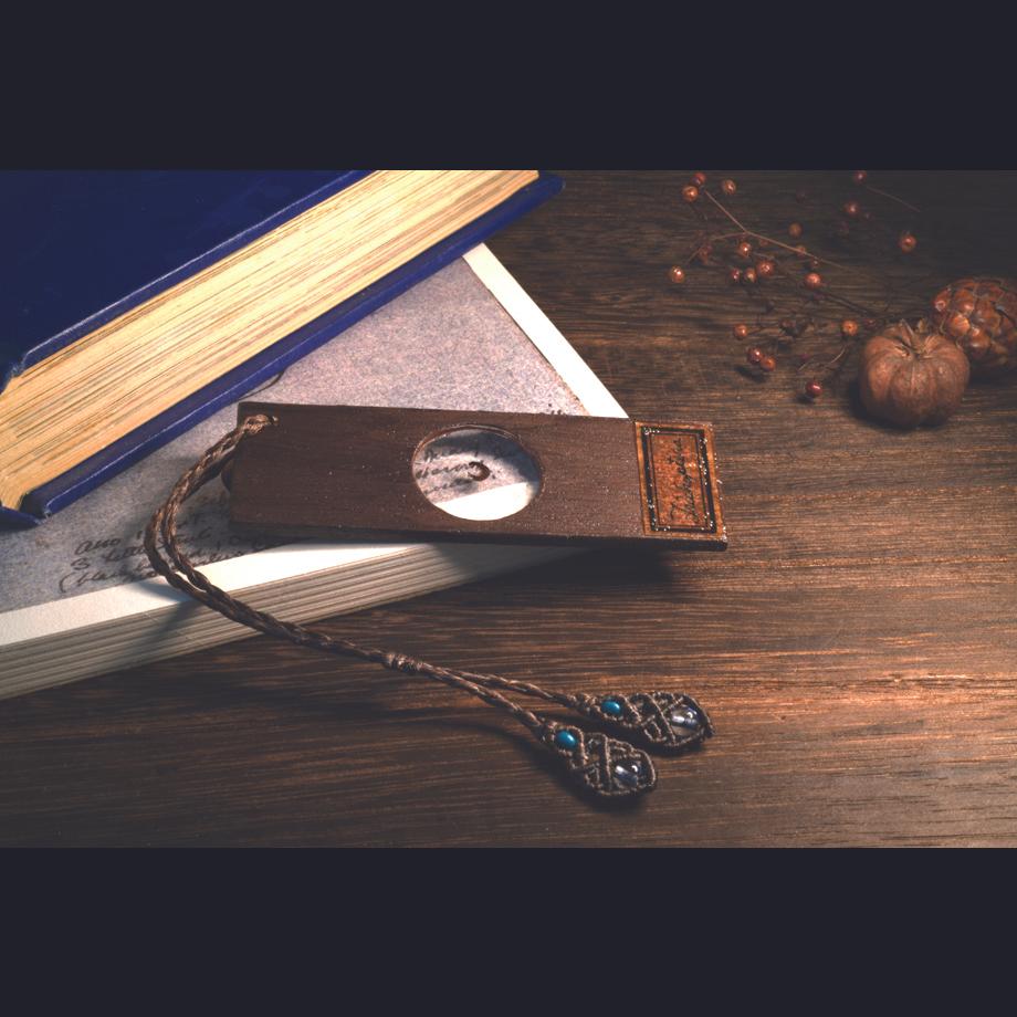 トビケラ類樹脂封入標本プレパラート | 11枚目