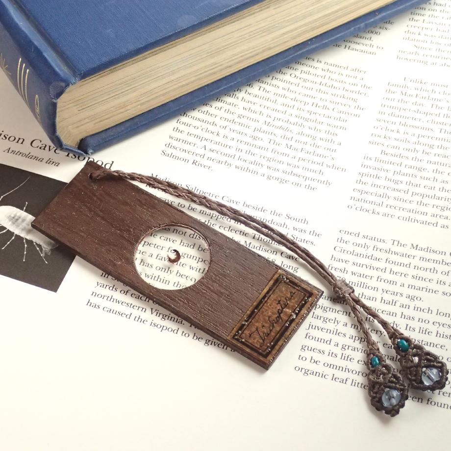 トビケラ類樹脂封入標本プレパラート | 5枚目