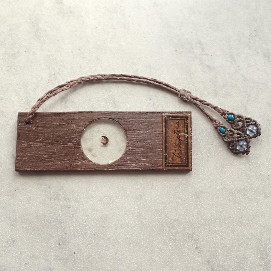 トビケラ類樹脂封入標本プレパラート | 6枚目