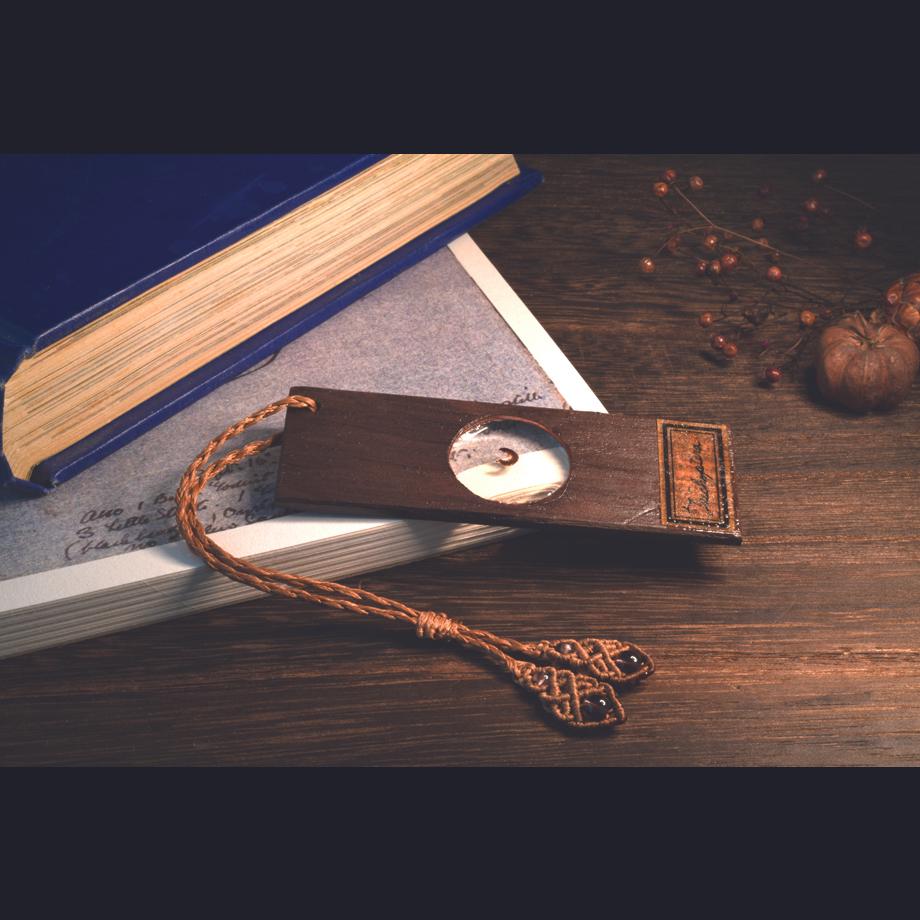 トビケラ類樹脂封入標本プレパラート | 7枚目