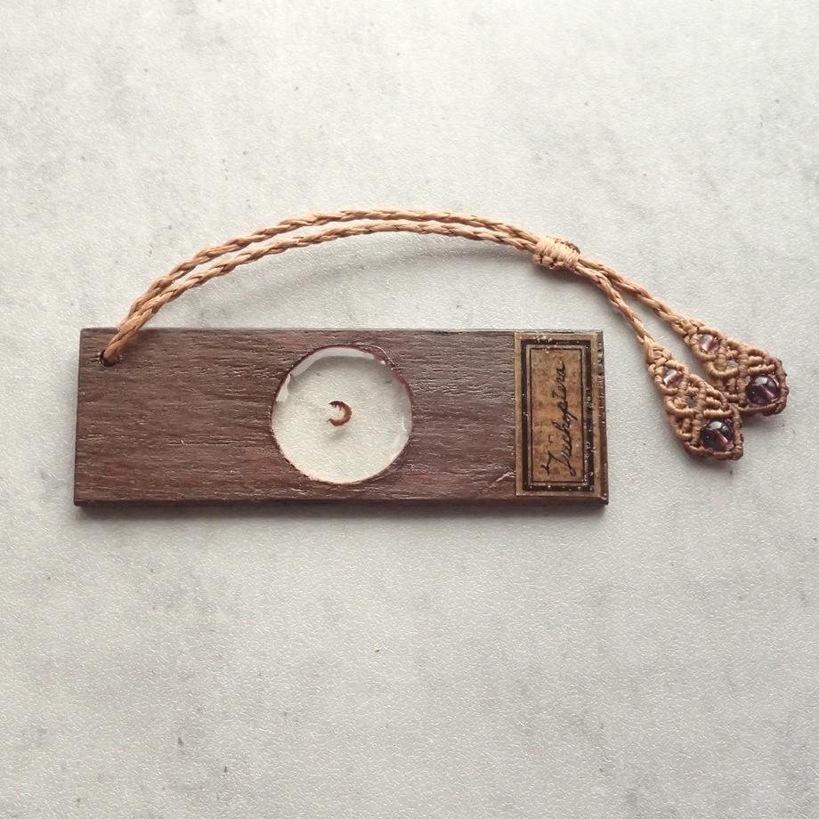 トビケラ類樹脂封入標本プレパラート | 2枚目