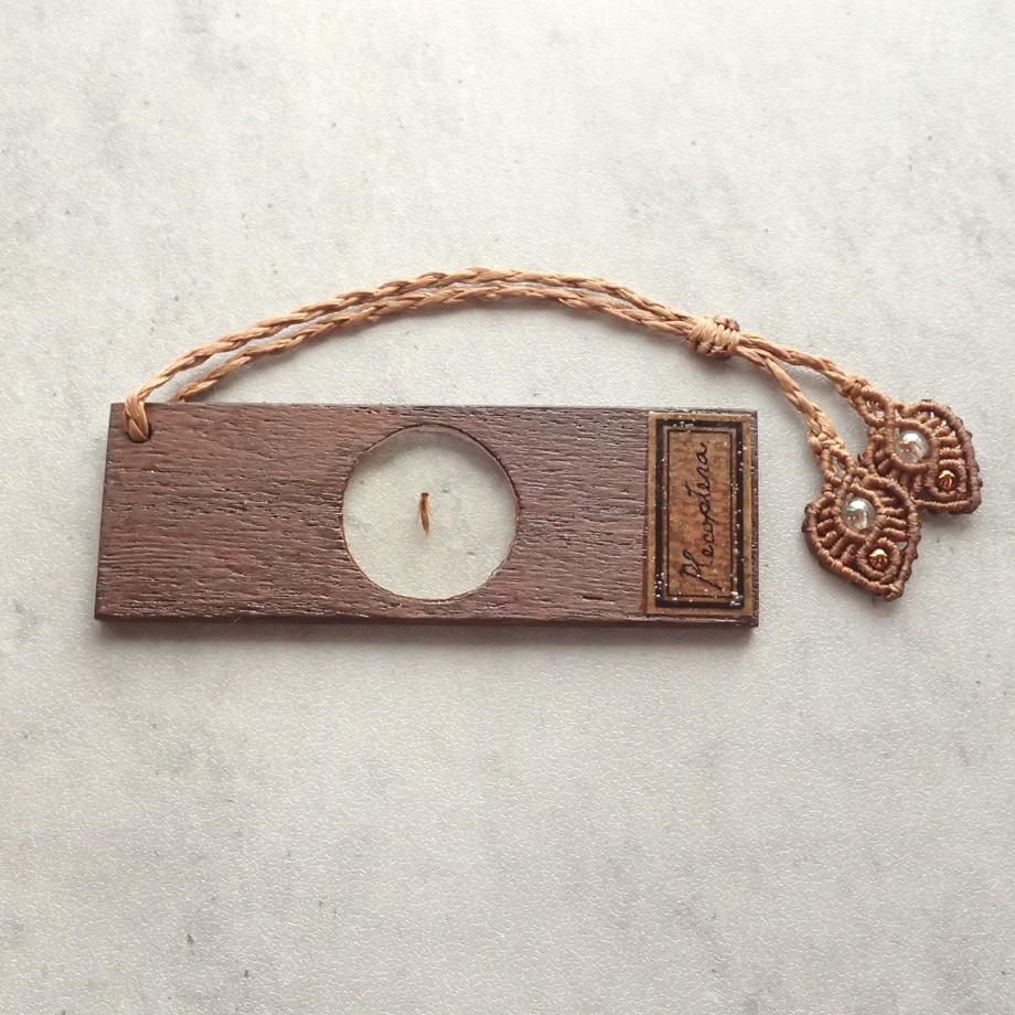 カワゲラ類樹脂封入標本プレパラート | 2枚目