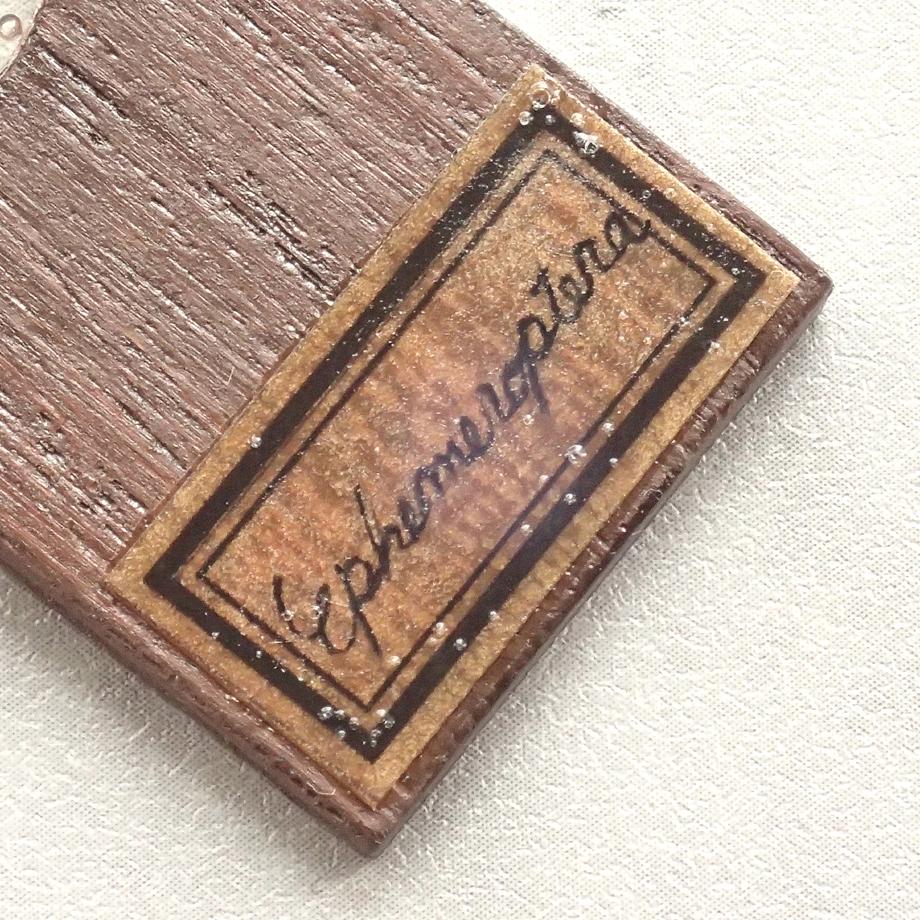 カゲロウ類樹脂封入標本プレパラート | 6枚目