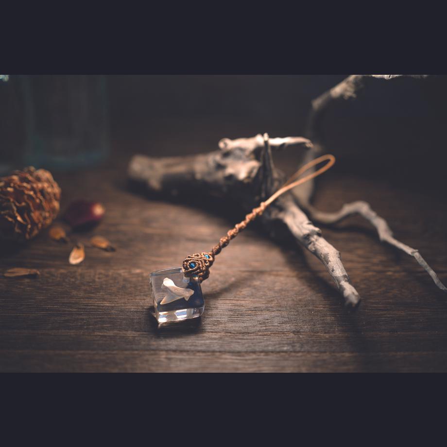 サメの歯樹脂封入標本ストラップ | 6枚目