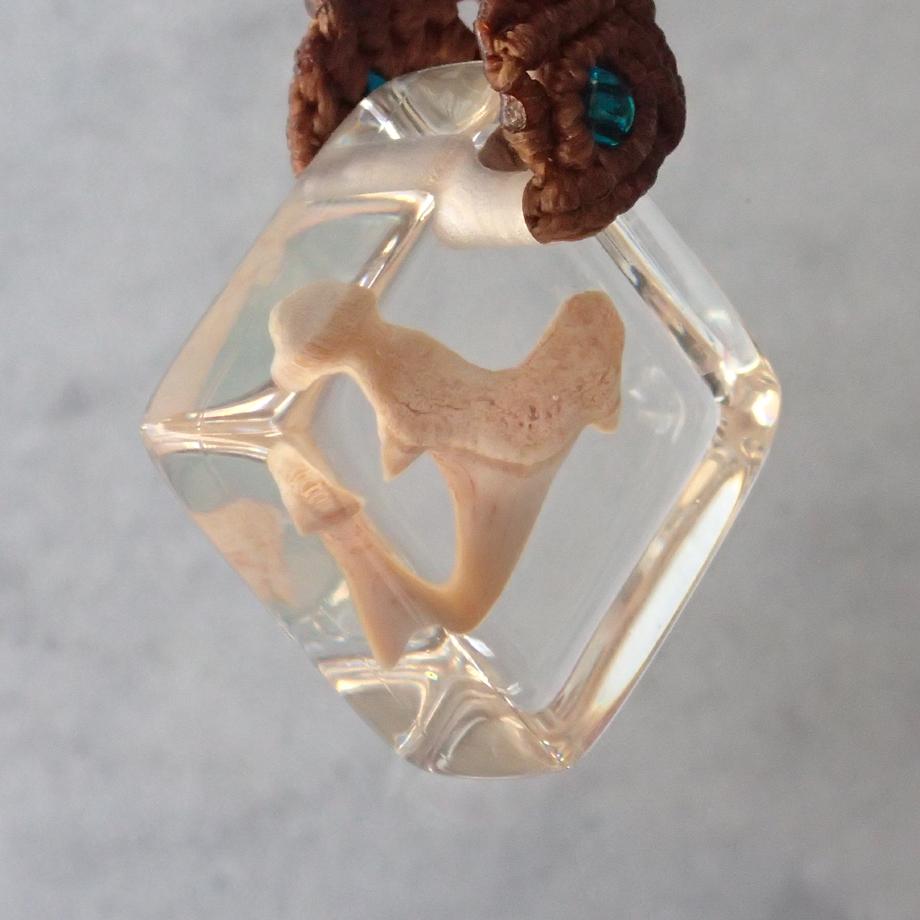 サメの歯樹脂封入標本ストラップ | 3枚目