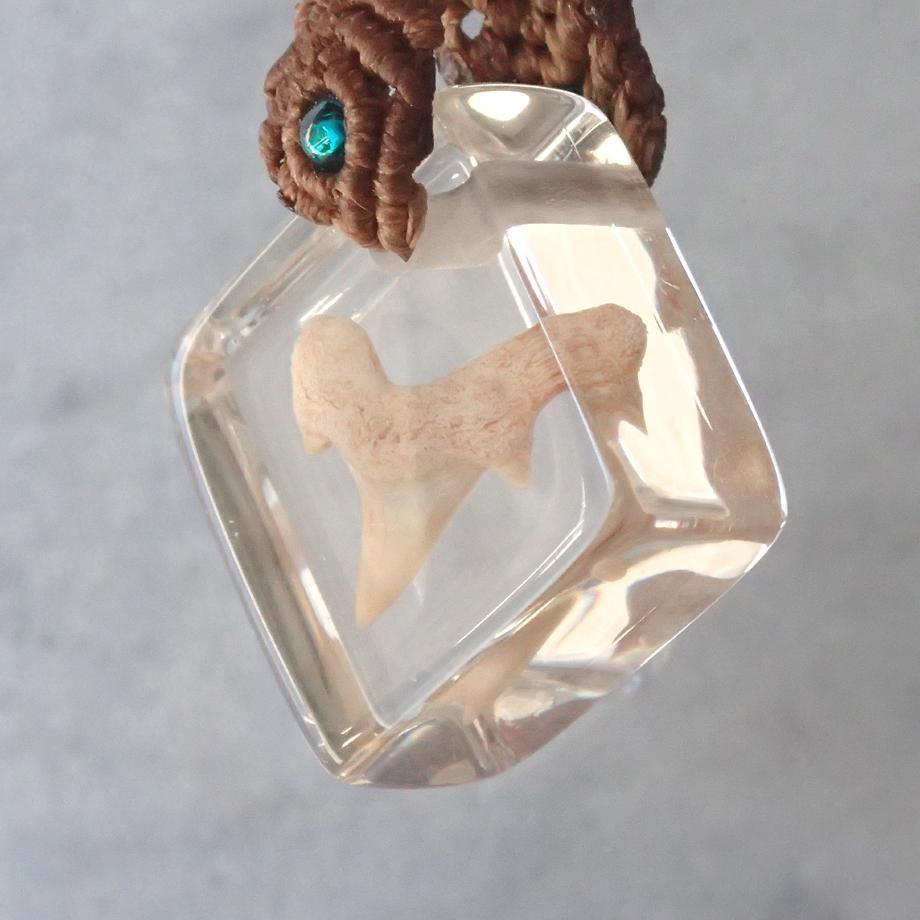 サメの歯樹脂封入標本ストラップ | 4枚目