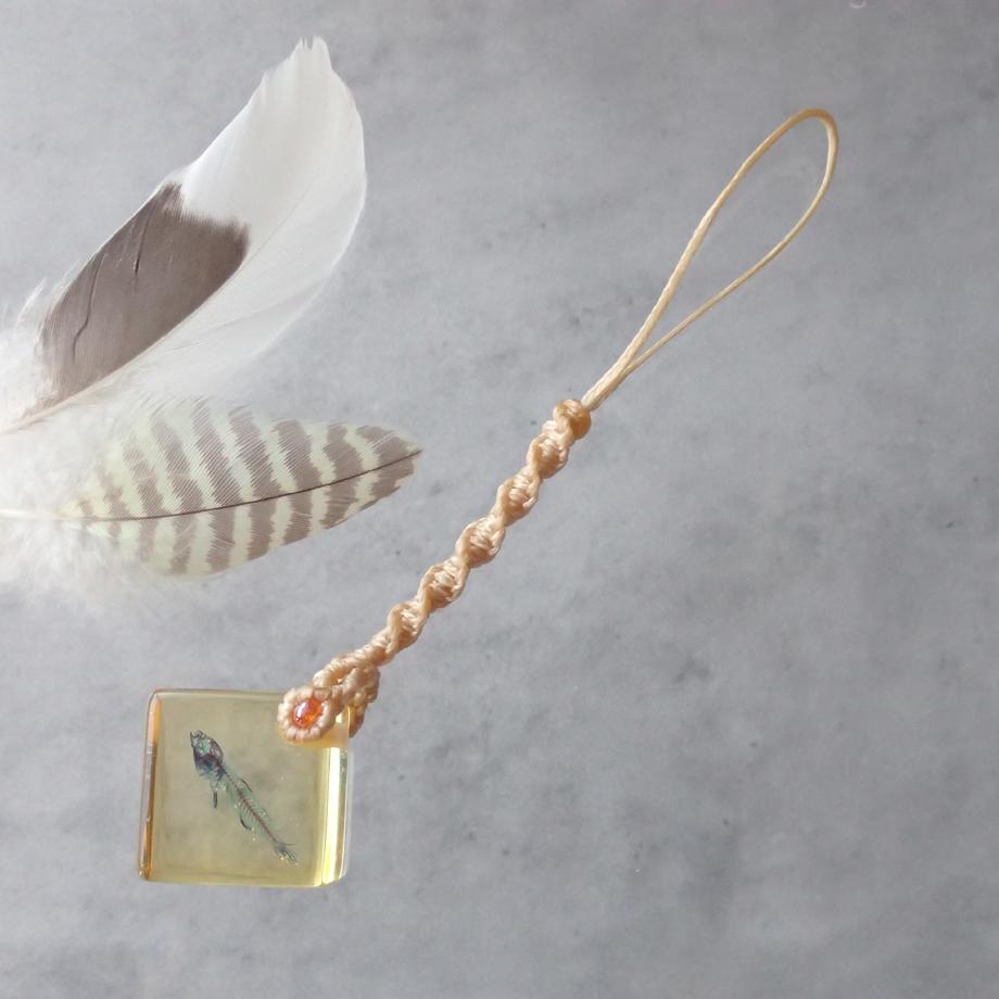 魚類二重染色樹脂封入標本ストラップ1枚目の画像