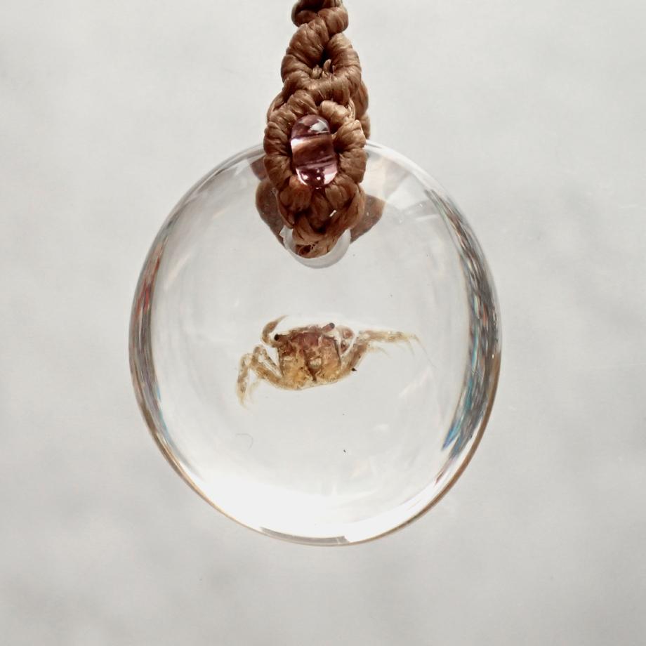 カニ類樹脂封入標本ストラップ | 2枚目