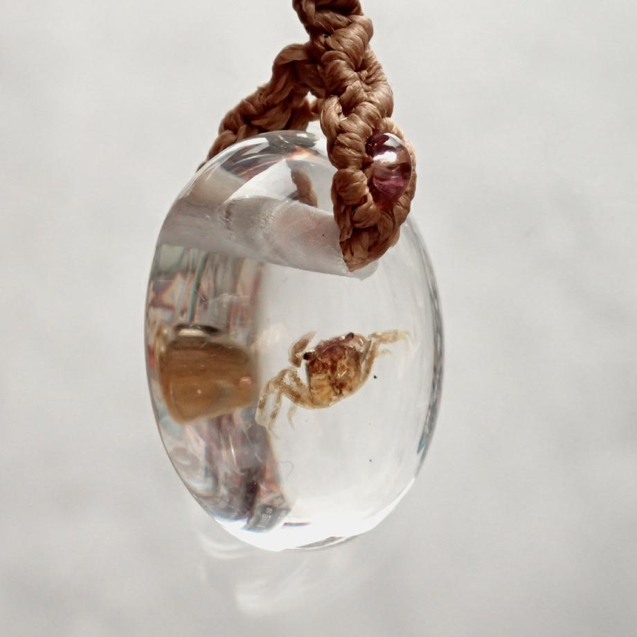 カニ類樹脂封入標本ストラップ | 3枚目