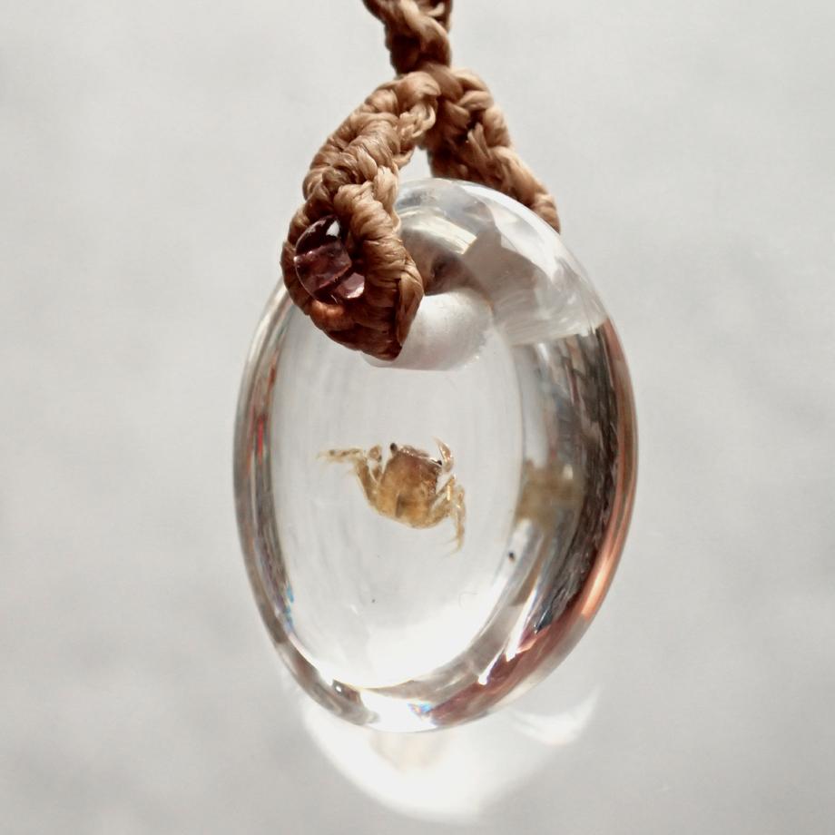 カニ類樹脂封入標本ストラップ | 4枚目