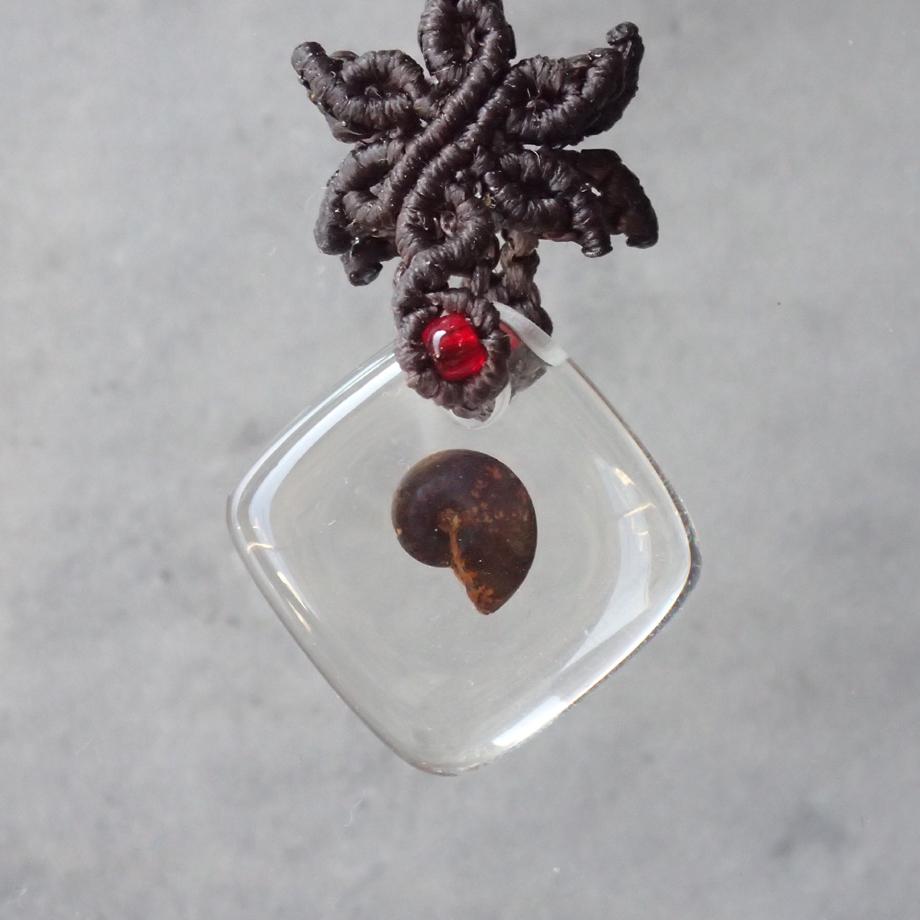 アンモナイト樹脂封入標本ストラップ | 2枚目