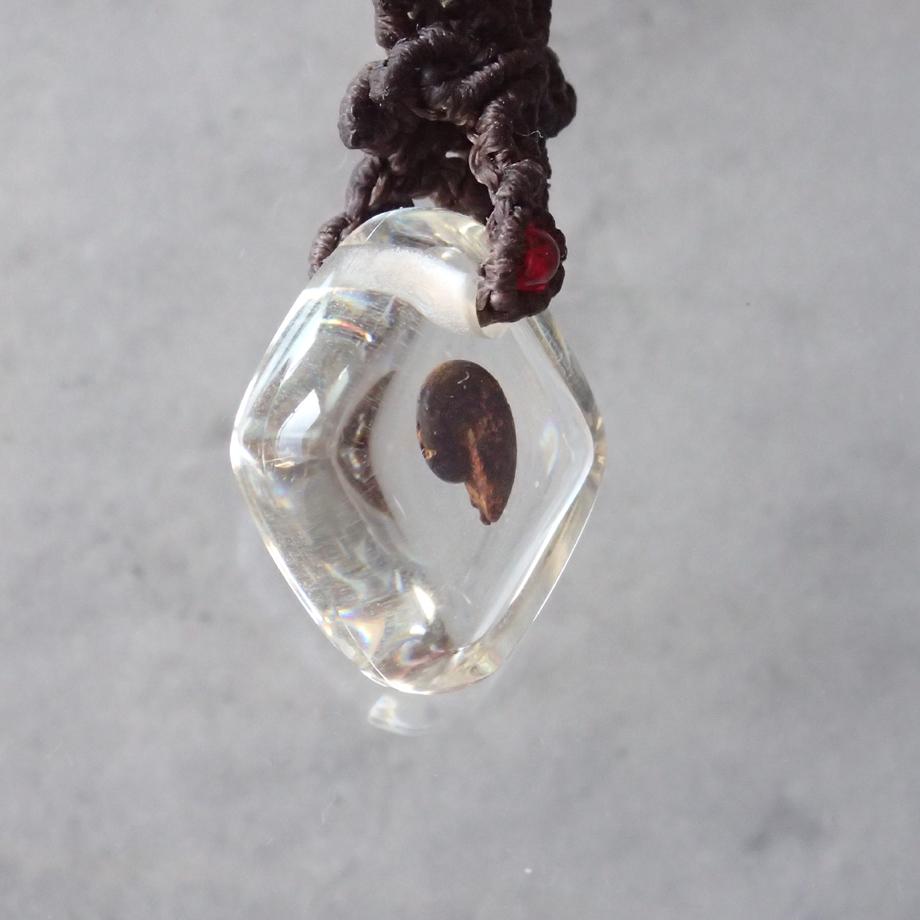 アンモナイト樹脂封入標本ストラップ | 3枚目