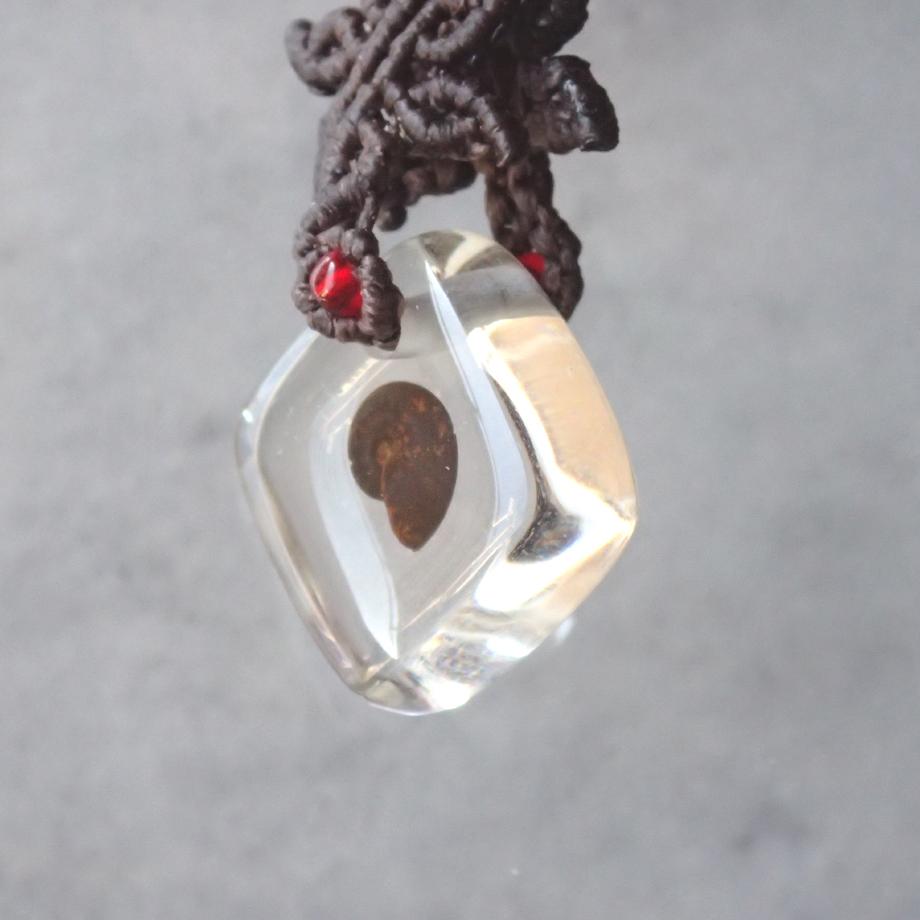 アンモナイト樹脂封入標本ストラップ | 4枚目