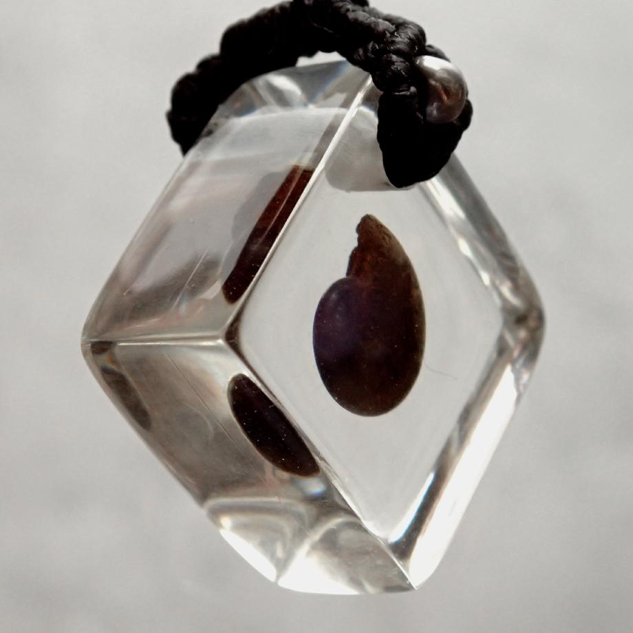 アンモナイト樹脂封入標本ストラップ | 3枚目