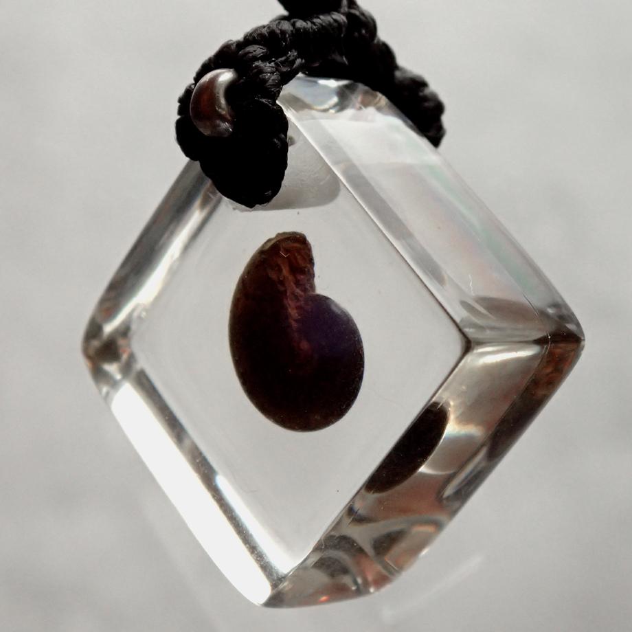 アンモナイト樹脂封入標本ストラップ | 4枚目