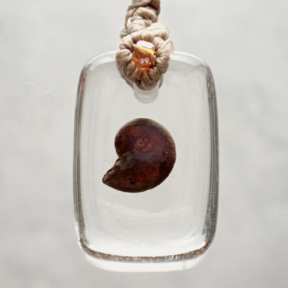 アンモナイト樹脂封入標本ストラップ | 6枚目