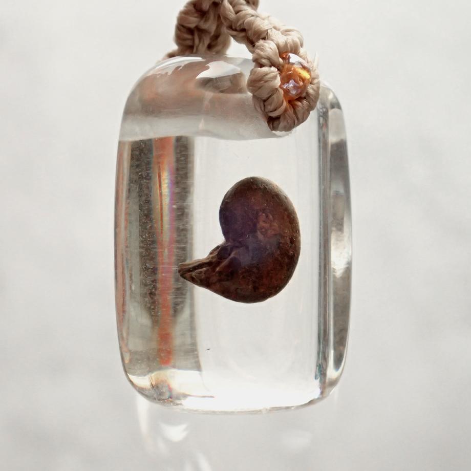 アンモナイト樹脂封入標本ストラップ | 7枚目