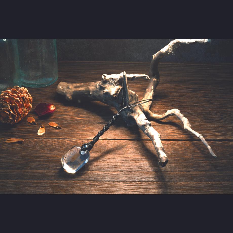 等脚類樹脂封入標本ストラップ | 10枚目