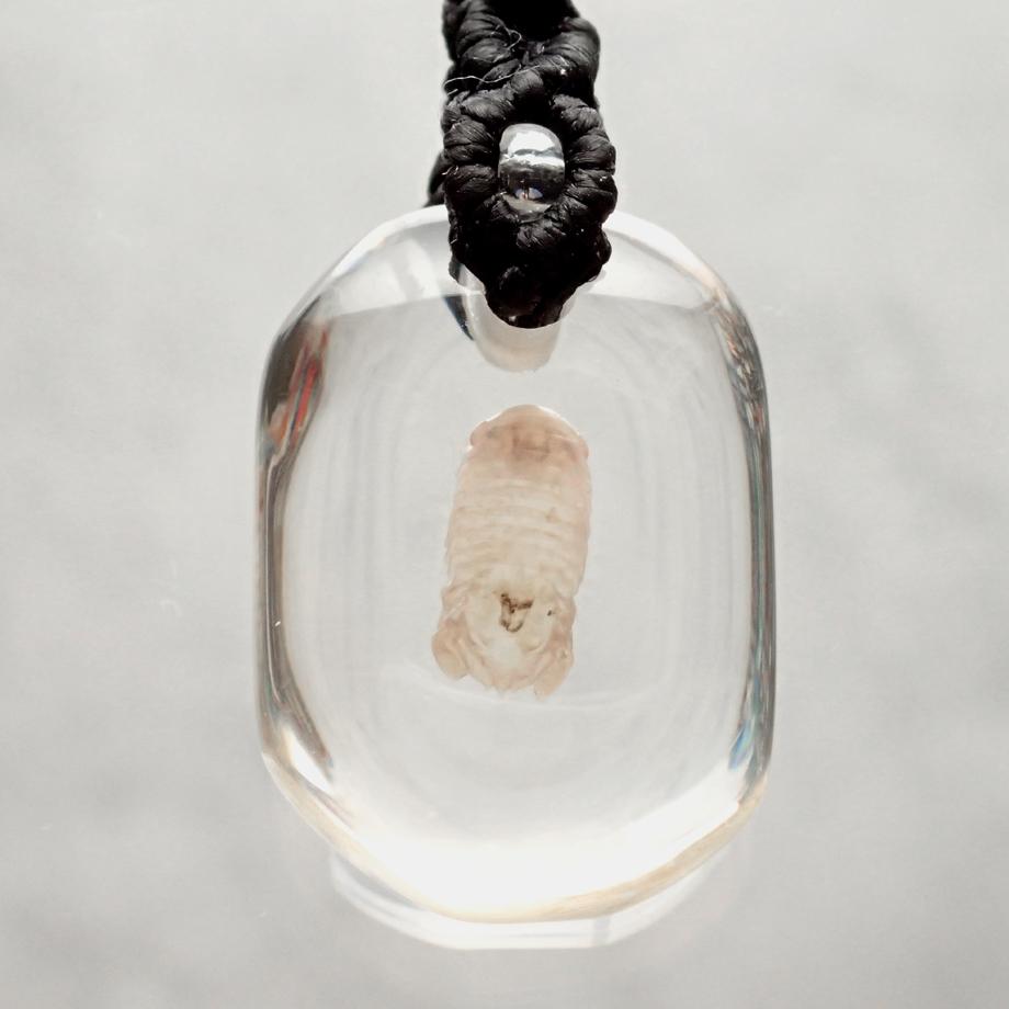 等脚類樹脂封入標本ストラップ | 6枚目