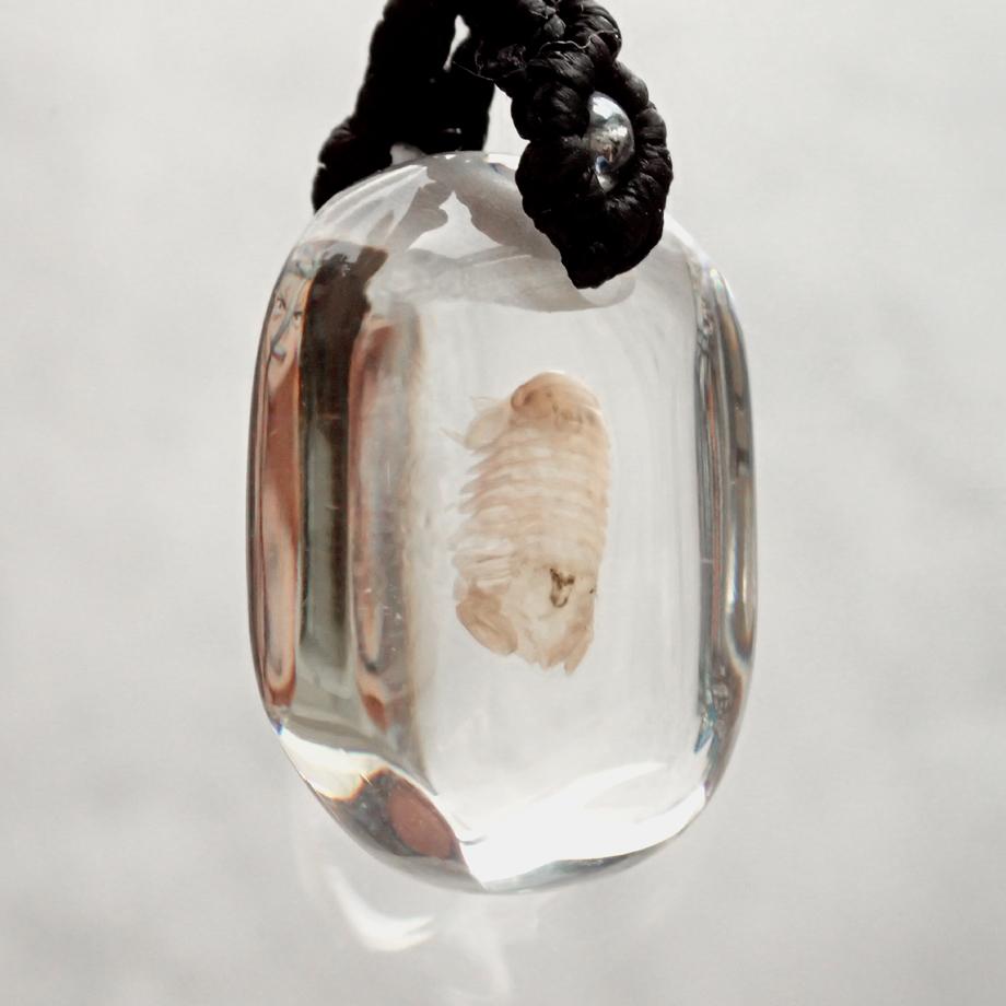 等脚類樹脂封入標本ストラップ | 7枚目