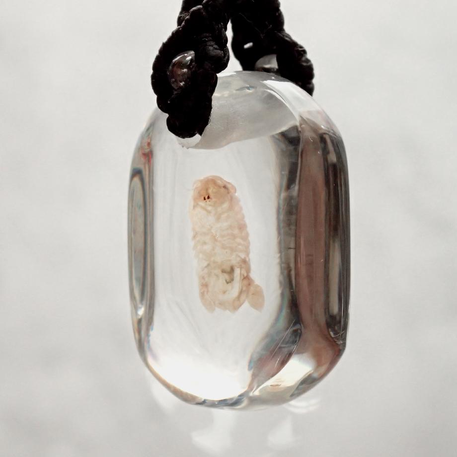 等脚類樹脂封入標本ストラップ | 8枚目