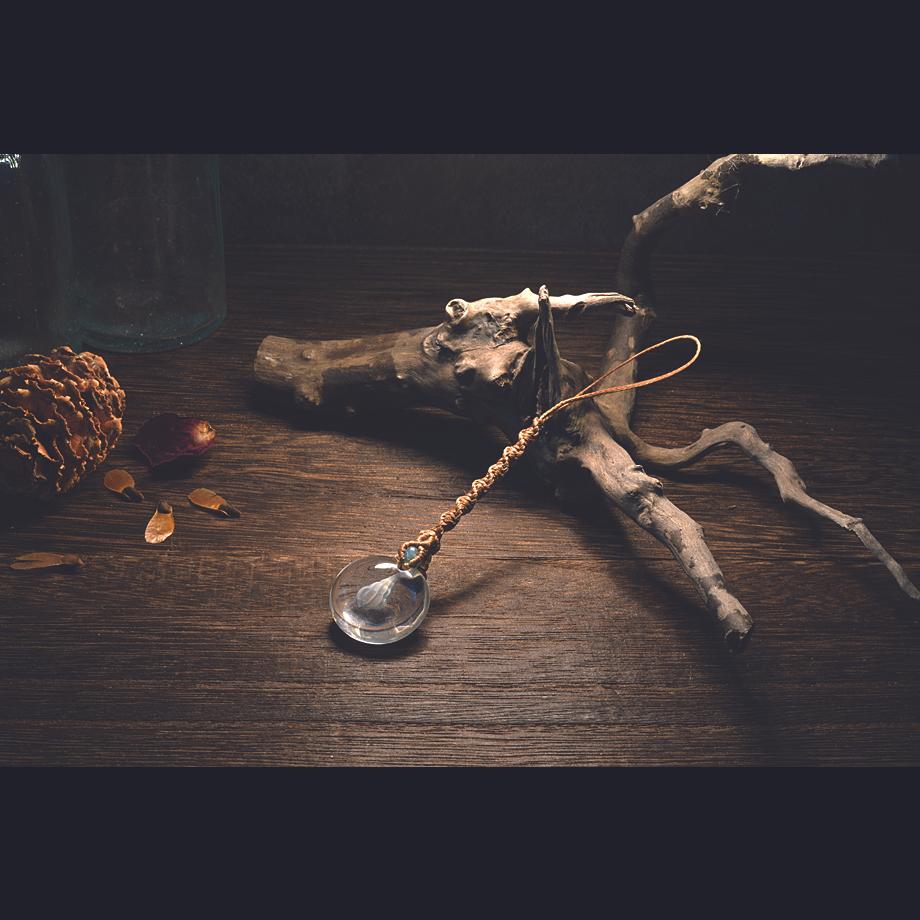 巻貝類樹脂封入標本ストラップ | 6枚目