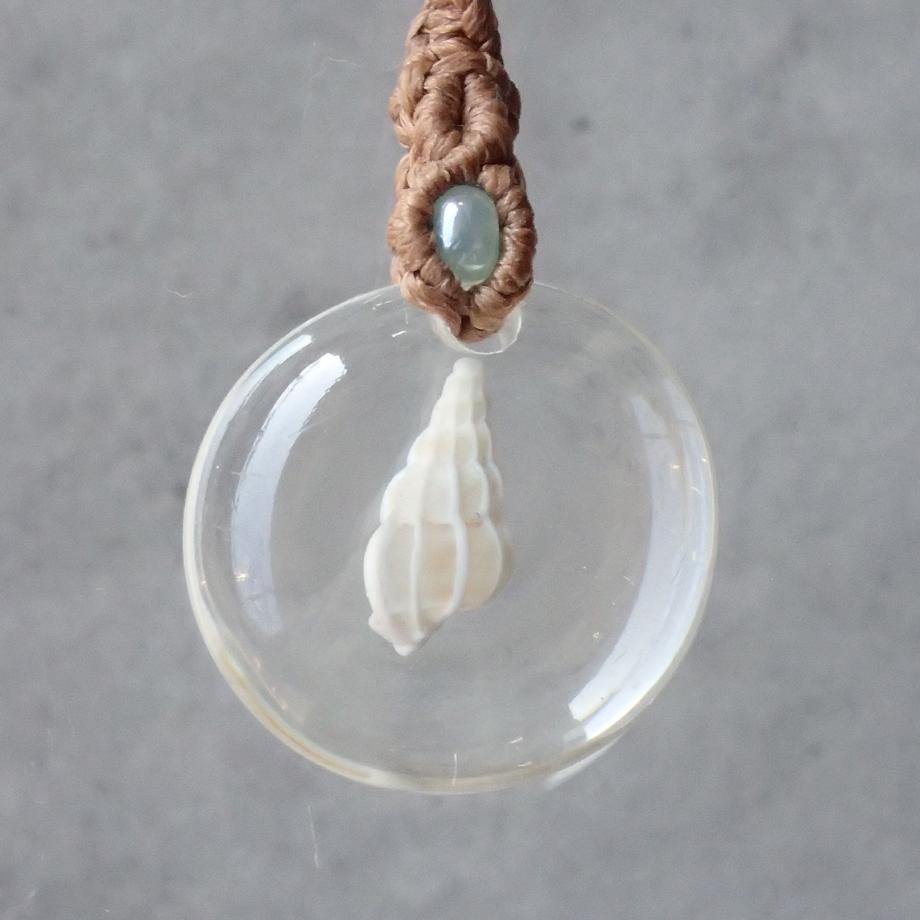 巻貝類樹脂封入標本ストラップ | 2枚目