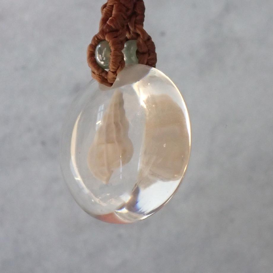 巻貝類樹脂封入標本ストラップ | 4枚目