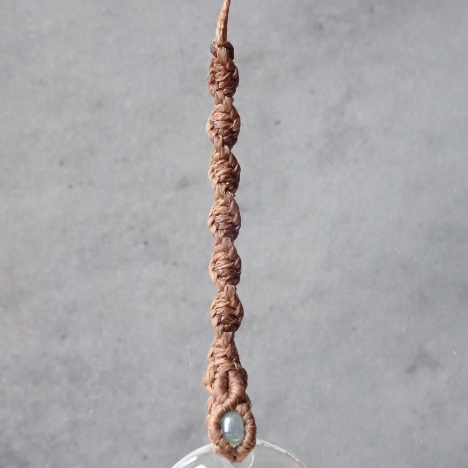 巻貝類樹脂封入標本ストラップ | 5枚目