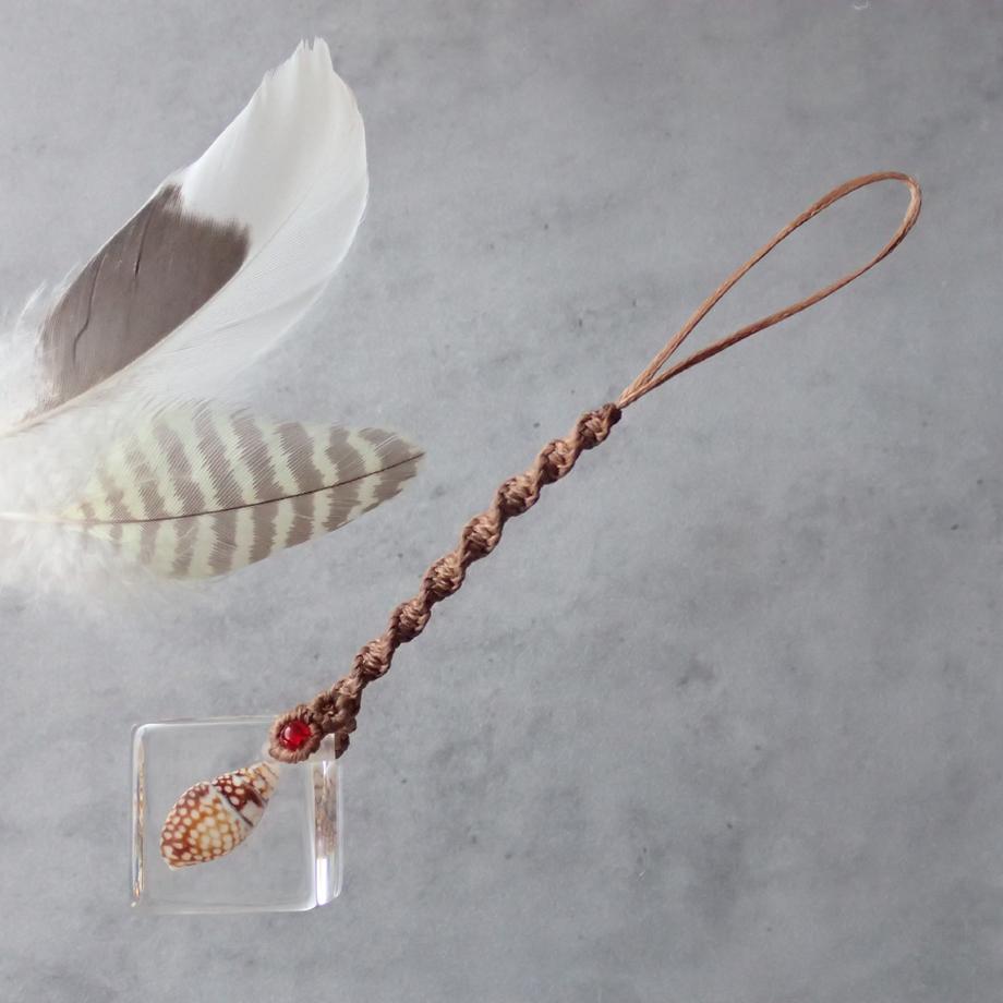 巻貝類樹脂封入標本ストラップ1枚目の画像