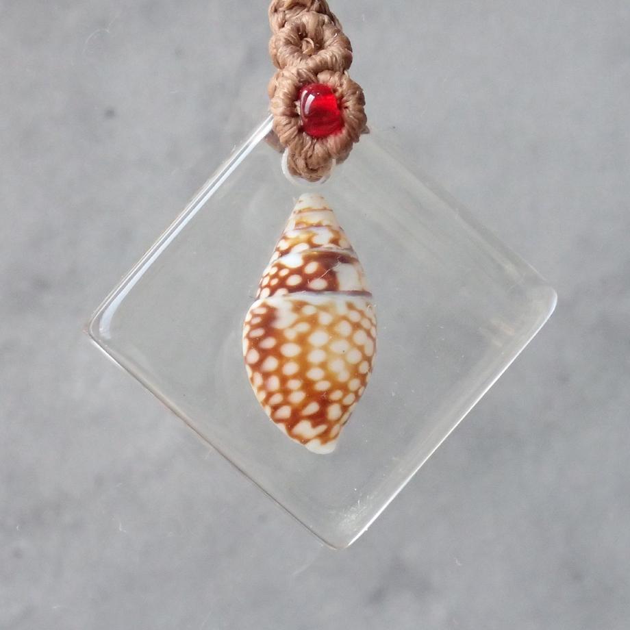 巻貝類樹脂封入標本ストラップ | 2枚目