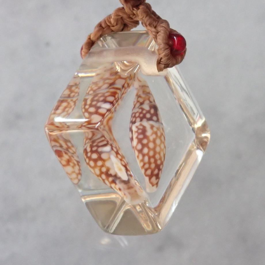 巻貝類樹脂封入標本ストラップ | 3枚目