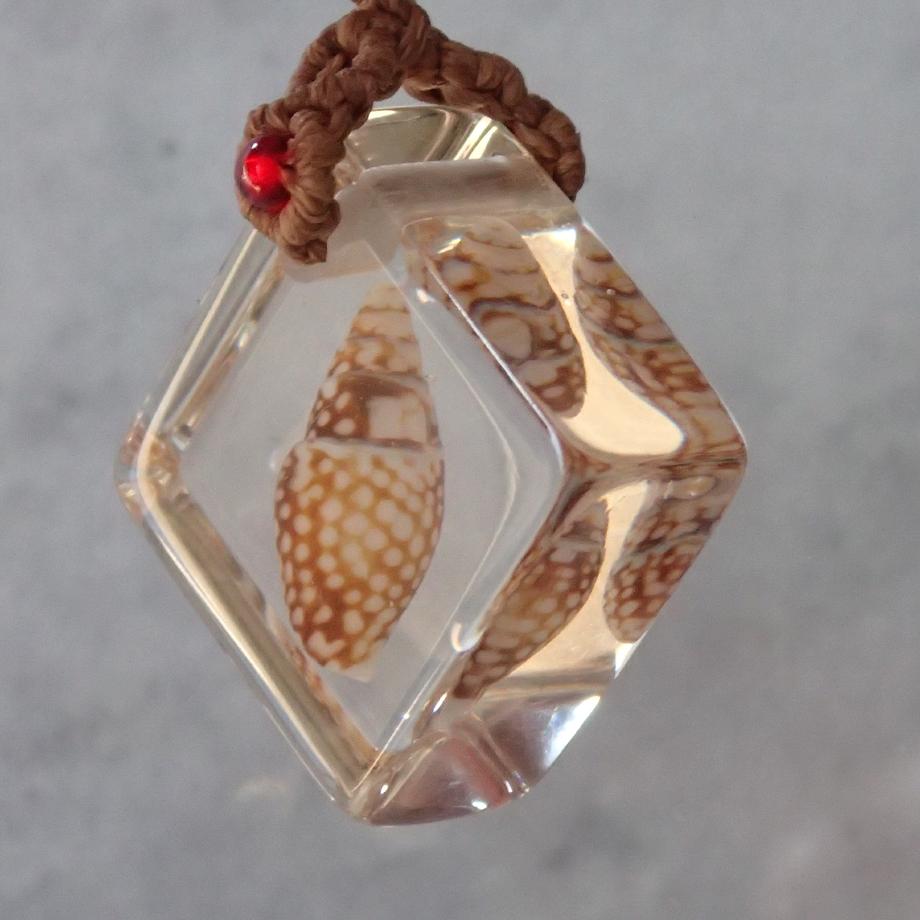 巻貝類樹脂封入標本ストラップ | 4枚目